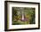 Catarata Del Toro Waterfall, in the mountains of Bajos del Toro Amarillo, Sarchi, Costa Rica-Adam Jones-Framed Photographic Print