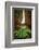 Catarata Del Toro Waterfall, in the mountains of Bajos del Toro Amarillo, Sarchi, Costa Rica-Adam Jones-Framed Photographic Print