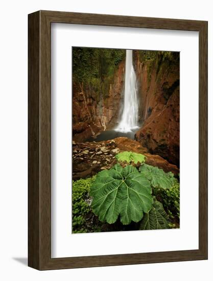 Catarata Del Toro Waterfall, in the mountains of Bajos del Toro Amarillo, Sarchi, Costa Rica-Adam Jones-Framed Photographic Print