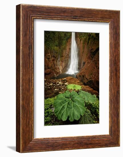 Catarata Del Toro Waterfall, in the mountains of Bajos del Toro Amarillo, Sarchi, Costa Rica-Adam Jones-Framed Photographic Print