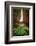 Catarata Del Toro Waterfall, in the mountains of Bajos del Toro Amarillo, Sarchi, Costa Rica-Adam Jones-Framed Photographic Print