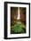 Catarata Del Toro Waterfall, in the mountains of Bajos del Toro Amarillo, Sarchi, Costa Rica-Adam Jones-Framed Photographic Print