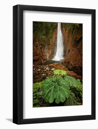 Catarata Del Toro Waterfall, in the mountains of Bajos del Toro Amarillo, Sarchi, Costa Rica-Adam Jones-Framed Photographic Print