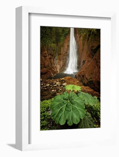 Catarata Del Toro Waterfall, in the mountains of Bajos del Toro Amarillo, Sarchi, Costa Rica-Adam Jones-Framed Photographic Print