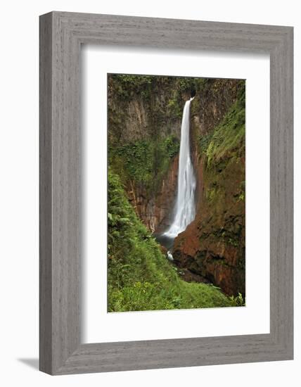 Catarata Del Toro Waterfall, in the mountains of Bajos del Toro Amarillo, Sarchi, Costa Rica-Adam Jones-Framed Photographic Print