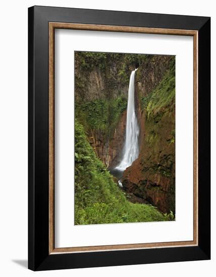 Catarata Del Toro Waterfall, in the mountains of Bajos del Toro Amarillo, Sarchi, Costa Rica-Adam Jones-Framed Photographic Print