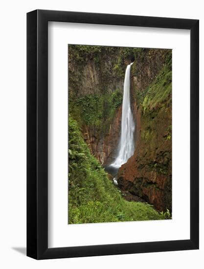 Catarata Del Toro Waterfall, in the mountains of Bajos del Toro Amarillo, Sarchi, Costa Rica-Adam Jones-Framed Photographic Print