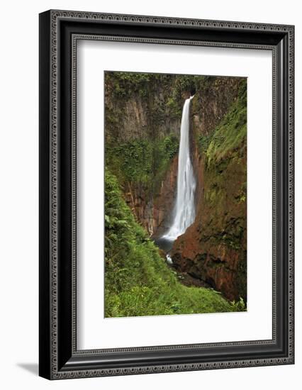 Catarata Del Toro Waterfall, in the mountains of Bajos del Toro Amarillo, Sarchi, Costa Rica-Adam Jones-Framed Photographic Print