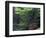 Catawba Rhododendron, Pisgah National Forest, North Carolina, USA-Adam Jones-Framed Photographic Print