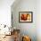 Catbird Seat-Art Wolfe-Framed Photographic Print displayed on a wall