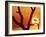 Catbird Seat-Art Wolfe-Framed Photographic Print