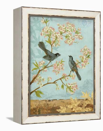 Catbirds & Blooms-Pamela Gladding-Framed Stretched Canvas