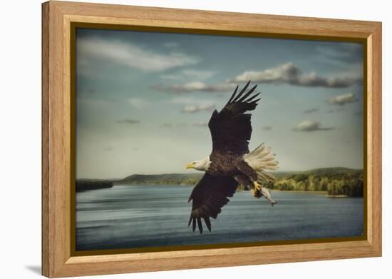 Catch of the Day-Jai Johnson-Framed Premier Image Canvas