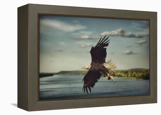 Catch of the Day-Jai Johnson-Framed Premier Image Canvas