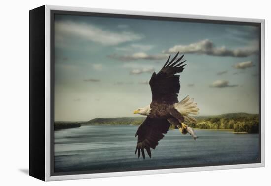 Catch of the Day-Jai Johnson-Framed Premier Image Canvas