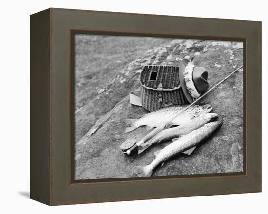 Catch of Trout-Bettmann-Framed Premier Image Canvas