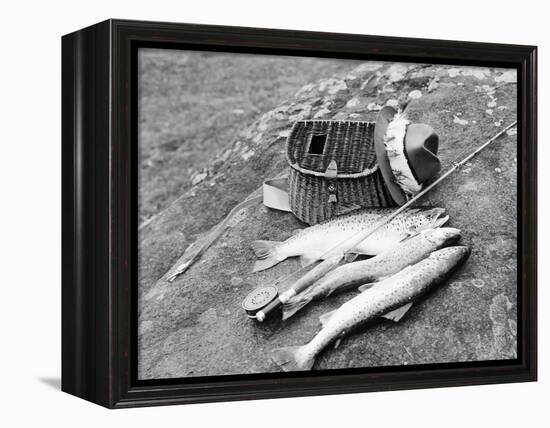 Catch of Trout-Bettmann-Framed Premier Image Canvas