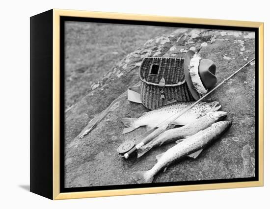 Catch of Trout-Bettmann-Framed Premier Image Canvas