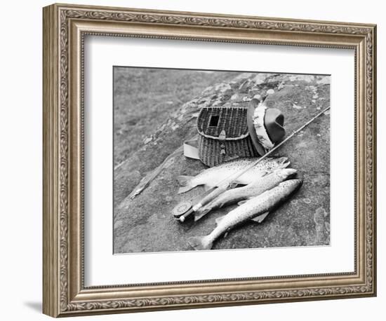 Catch of Trout-Bettmann-Framed Photographic Print