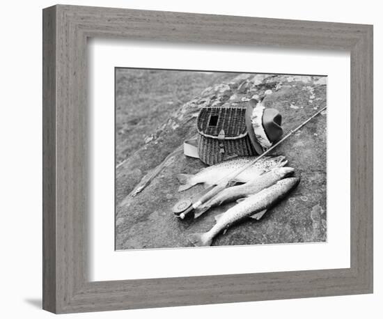 Catch of Trout-Bettmann-Framed Photographic Print