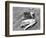 Catch of Trout-Bettmann-Framed Photographic Print