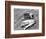 Catch of Trout-Bettmann-Framed Photographic Print