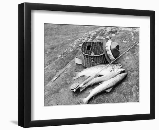 Catch of Trout-Bettmann-Framed Photographic Print