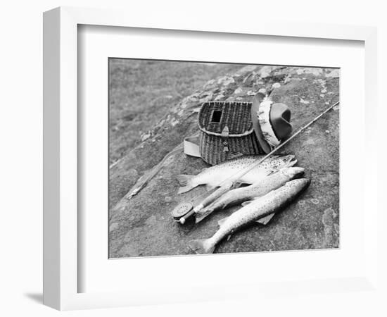 Catch of Trout-Bettmann-Framed Photographic Print