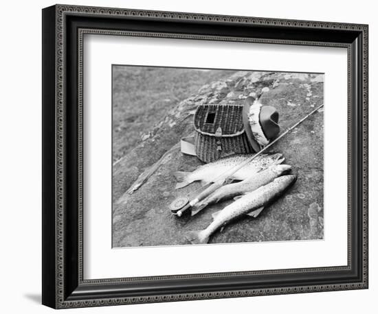 Catch of Trout-Bettmann-Framed Photographic Print