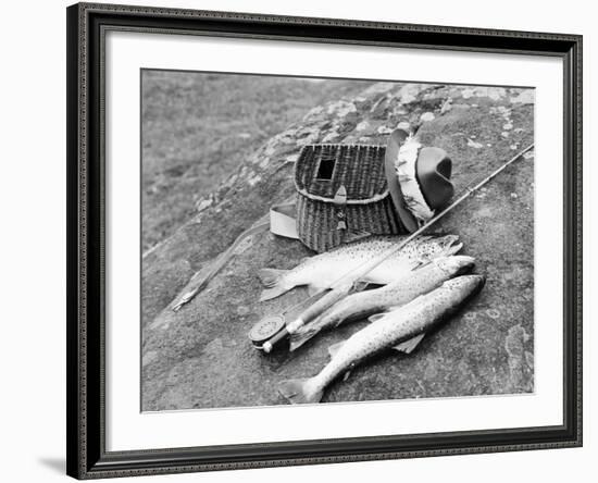 Catch of Trout-Bettmann-Framed Photographic Print