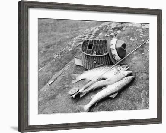 Catch of Trout-Bettmann-Framed Photographic Print