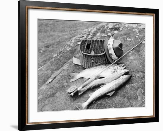 Catch of Trout-Bettmann-Framed Photographic Print