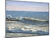 Catch the Wave-Bruce Dumas-Mounted Giclee Print