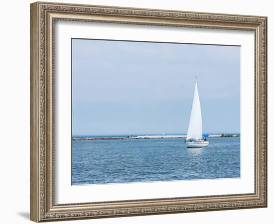 Catch the Wind-Rich K-Framed Photographic Print