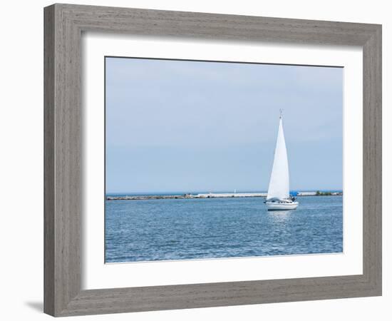 Catch the Wind-Rich K-Framed Photographic Print