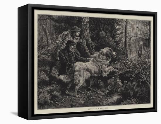 Catching a Poacher-Basil Bradley-Framed Premier Image Canvas