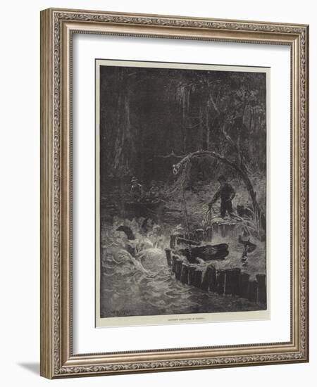 Catching Alligators in Florida-null-Framed Giclee Print