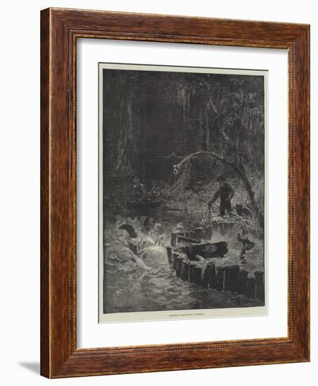 Catching Alligators in Florida-null-Framed Giclee Print