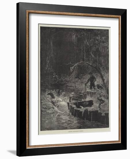 Catching Alligators in Florida-null-Framed Giclee Print