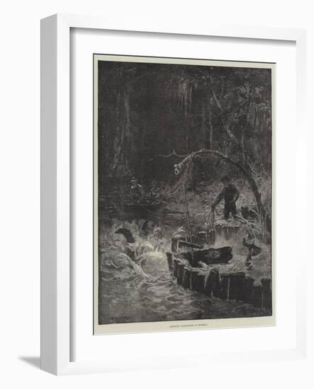 Catching Alligators in Florida-null-Framed Giclee Print