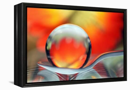 Catching Colors on a Spoon-Heidi Westum-Framed Premier Image Canvas
