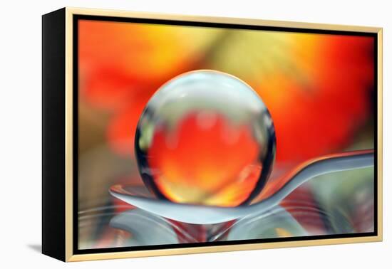 Catching Colors on a Spoon-Heidi Westum-Framed Premier Image Canvas