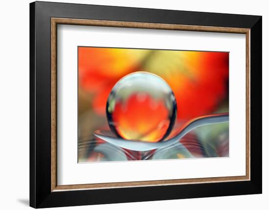 Catching Colors on a Spoon-Heidi Westum-Framed Photographic Print