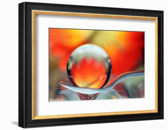 Catching Colors on a Spoon-Heidi Westum-Framed Photographic Print