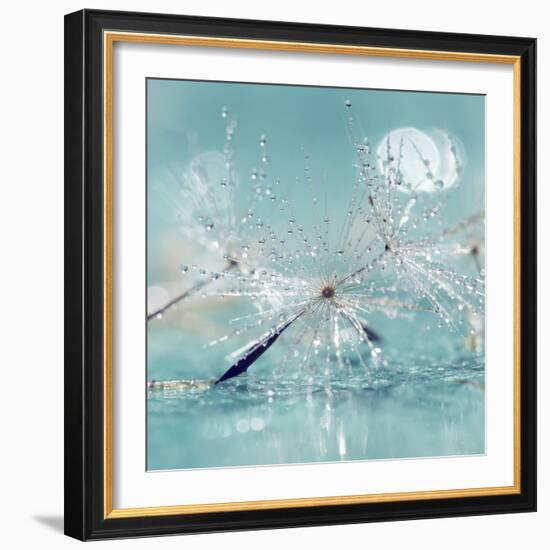 Catching Dreams-Incredi-Framed Giclee Print