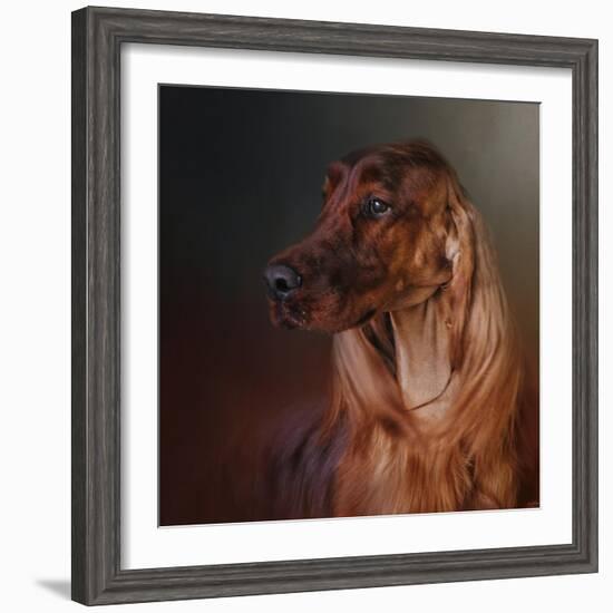 Catching the Breeze Irish Setter-Jai Johnson-Framed Giclee Print