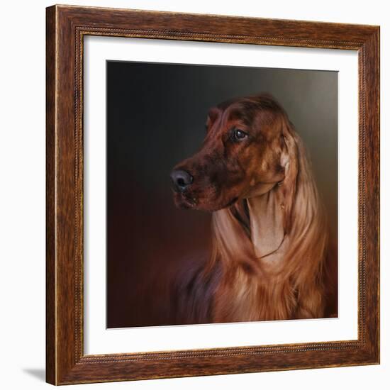 Catching the Breeze Irish Setter-Jai Johnson-Framed Giclee Print