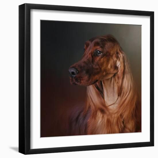 Catching the Breeze Irish Setter-Jai Johnson-Framed Giclee Print