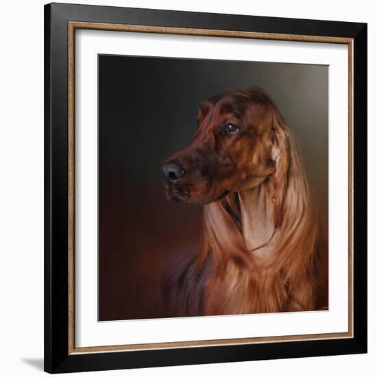 Catching the Breeze Irish Setter-Jai Johnson-Framed Giclee Print