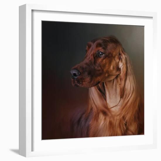 Catching the Breeze Irish Setter-Jai Johnson-Framed Giclee Print